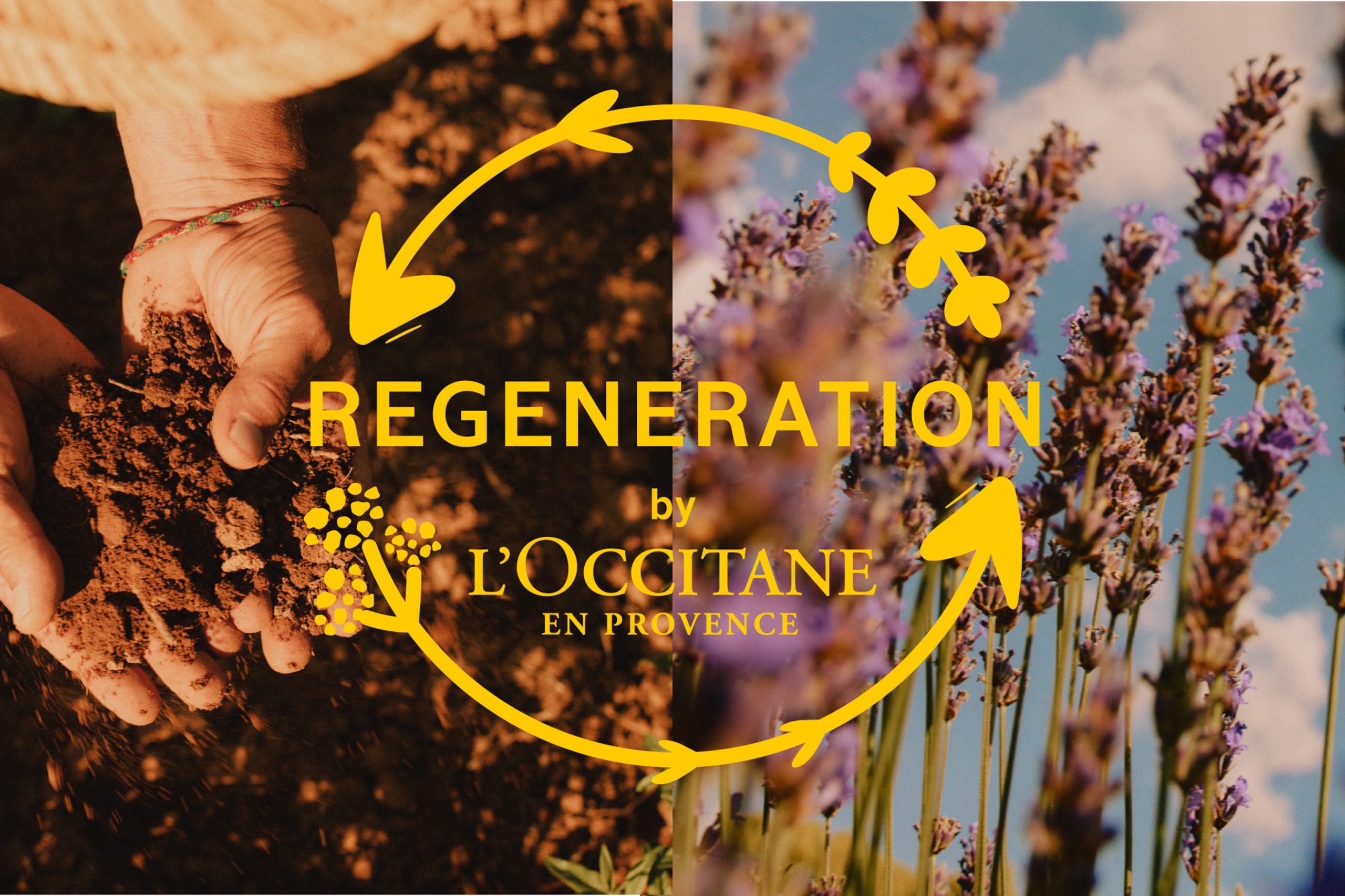 REGENERATION by L’OCCITANE EN PROVENCE